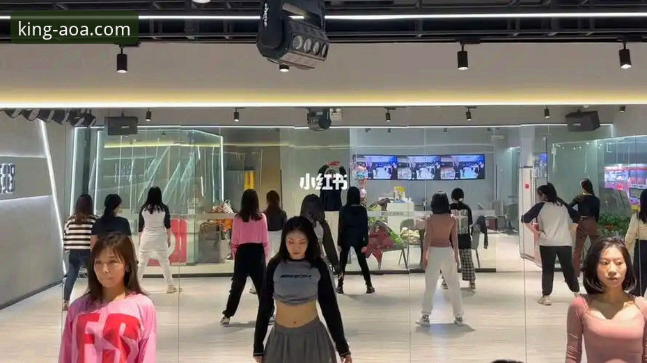 最新AOA体育版本详解：新手入门与操作指南